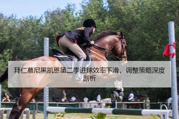 拜仁慕尼黑凯恩第二季进球效率下滑，调整策略深度剖析